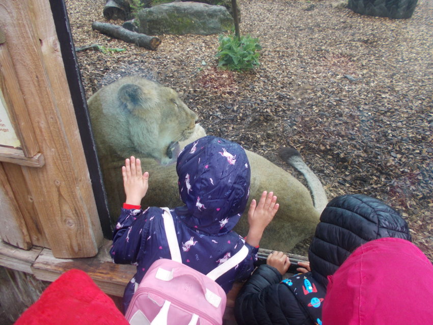 Image of Year 1 trip to Chessington 